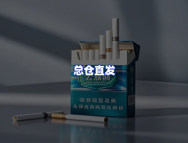 专业团队